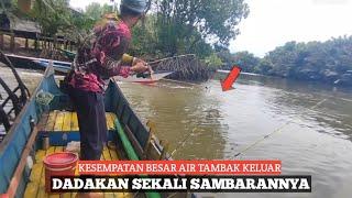 Jangan Di Sia"kan Spot Air Tambak Keluar (Ikan Predator Ngumpul) #mancing