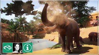  Let's play Planet Zoo Franchise Mode | Live Stream | Beta |