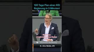 100 Tage Plan #1  #bundestag #neuwahlen #politik #nachrichten