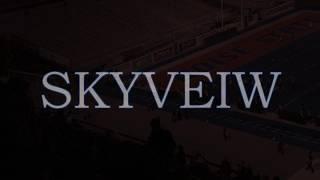 Skyview