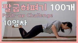 [push-up challenge] Day10 | 팔굽혀펴기 | 10일차 | 20일만 더. 등살 겨드랑이살 빠지고 있니??