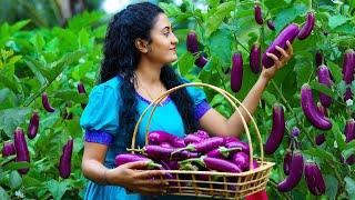 Farm fresh brinjals!curried with secret filler & fried them! String dragon pudding was no time.