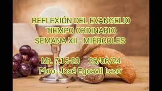 REFLEXIÓN DEL EVANGELIO.  Mt. 7,15-20.  26/06/24. Pbro. José Egoavil Lazo.