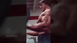 Learn More About Arnold! Link in Description ⬇️