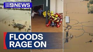 More than 100,000 livestock lost in Queensland floods | 9 News Australia