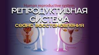 Энергетический сеанс восстановления РЕПРОДУКТИВНОЙ системы