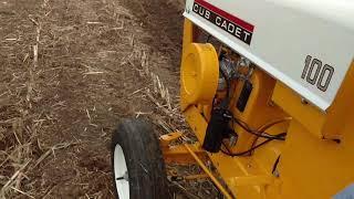 100 at plow day.