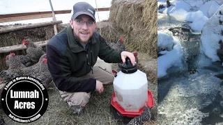 HOW to KEEP your CHICKENS WATER from FREEZING OFF-GRID HACK