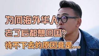 為何海外華人老了之後，都想回國安享晚年？什麼原因讓他們待不下去了  #圓桌派#窦文涛#許子東#馬家輝