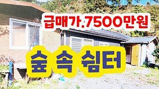 급매7500만원!! 600고지 나만에쉼공간. 7500만원 #횡성전원주택# 횡성싼토지 #횡성부동산  #강원도부동산 #강원도전원주택 #횡성급매물 #  둔내부동산