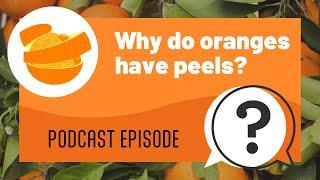 But Why Kids | Why do oranges have peels? | Full Podcast Episode