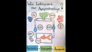 SAIN - Aquaponikanlage Aufbau - Wissenschaftsladen 2018