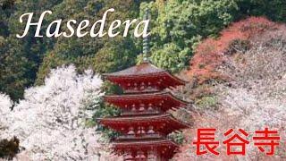 The Most Beautiful Temple in Nara Japan - Hasedera Temple 長谷寺