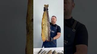 ТОЛЬКО ЧТО ИЗ ЦЕХА: АРОМАТНАЯ РЫБА С СЕВЕРА! 🩵