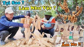 Công Giáp || Chúng Tôi Chưa Giàu ? Nhưng Ấm No Có Đủ ? Việt Nam Mãi Trong Lòng Chúng Tôi ?