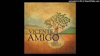 Vicente Amigo | Tierra [432HZ/HQ]