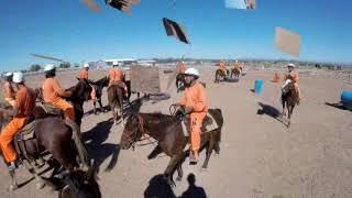 Arizona State Prison wild horse and burro training