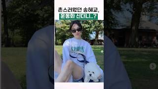 키작녀 송혜교 픽 운동화는?