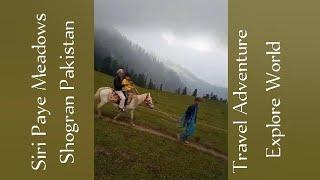 Siri Paye, The Most Beautiful Place. Nature is Blushing Everywhere. Makra Peak is 12,746 ft High.