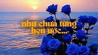 Playlist #28 - trả cá về với nước,thuyền về với bờ, như chưa từng hẹn ước, tất cả chỉ là tình cờ