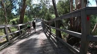 Bike Trail, Eastland Ringwood to Blackburn Rd, Mullum Mullum Creek, Eastlink & Koonung Creek trails