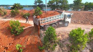 Amazing Dump Truck Working Drive Back Unloading At Slope And Bulldozer Shantui Pushing Dirt Make Dam