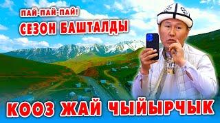 Ох-Хоо! Сезон БАШТАЛДЫ! АЛАЙ, ЧЫЙЫРЧЫК жайлоосу