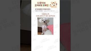 과거에 몰랐던 현재의 충격;;;#웃긴 #웃긴  #웃긴짤 #웃짤 #백설공주 #강아지미용 # #강아지 #고양이 #급식 #출근 #입사 #퇴사 #사직서 #humor