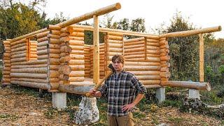 One Year Alone Building a Log Cabin in the Wilderness