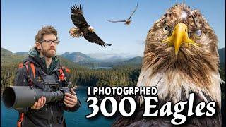 This was CRAZY - Sharing Camera Settings to photograph Birds in Flight - Nikon Z9