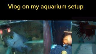 Vlog on my aquarium setup|PRG vlogs