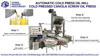 Screw Rapeseed Oil Press Machine|Seed Oil Extraction Machine|Canola Screw Oil Expeller Machine