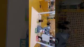 Lego Store Disneyland California  (pt2 )