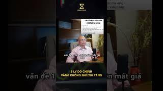 6 LÝ DO CHÍNH  - VÀNG KHÔNG NGỪNG TĂNG! #giavang #trump #fyp