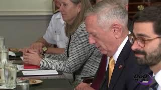 Mattis Meets With Romanian Defense Minister