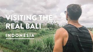 UBUD RICE PADDIES & LOCAL VILLAGE | Travel Vlog 134, 2018 | Rice Fields & Terraces of Bali