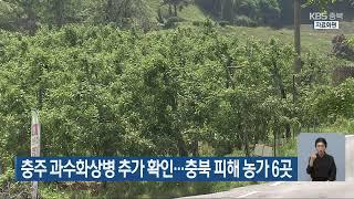 [LIVE] KBS 충북 뉴스9 라이브ㅣ2023년 5월 17일 (수) KBS청주