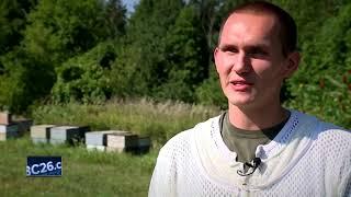 Great Outdoors: Buzzing bees at Fox Honey Farm