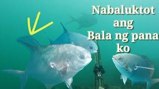 SPEARFISHING PHILIPPINES  gulat ako sa lakas ng isda ito catch and sell