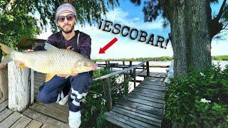 EXCELENTE PESCA en ESCOBAR en solo unas horas, un LUGAR NUEVO HERMOSO, Camping El Bigua.