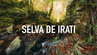 Bosques de fantasía en España ‍️ La Selva de Irati y el Pirineo Navarro