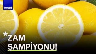 Limonun tanesi 10 lira oldu! Artık kiloyla değil taneyle alınabilecek!