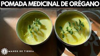 COMO HACER POMADA MEDICINAL DE OREGANO 🪴