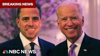 Analyzing the political ramifications of Hunter Biden's guilty verdict