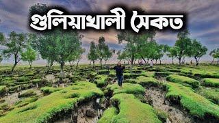 Guliakhali Sea Beach । গুলিয়াখালি সমুদ্রসৈকত । Shitakundo । Chittagong