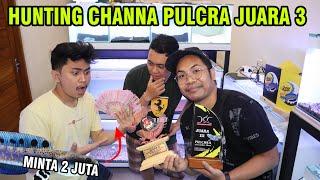 HUNTING CHANNA JUARA III PULCRA! GAS TENGAH MALAM KE SKYLARK AQUATIC