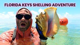 Florida Keys Shelling Adventure - Queen Conchs are EVERYWHERE!!!! #Shelling #floridakeys #Seashells