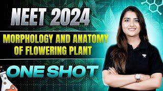 Morphology and Anatomy of Flowering Plants | One Shot | NEET 2024 | Seep Pahuja