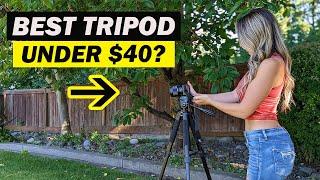 BEST Budget Tripod? | UBeesize 67" Camera Tripod Review