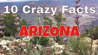 10 Crazy Facts About Arizona